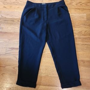 Aritzia Ankle Cropped Pants